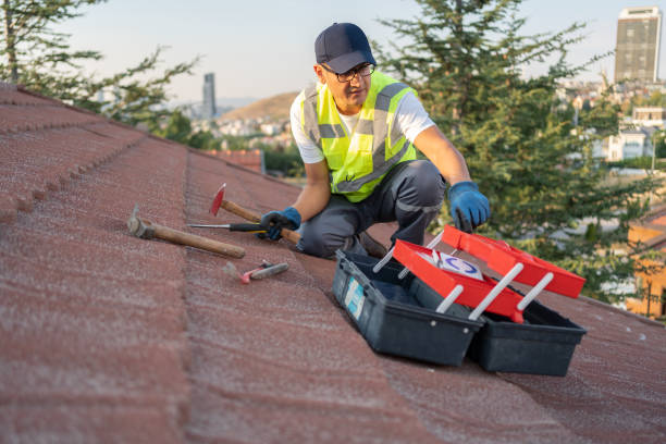 Best Fiber Cement Siding Installation  in Walker Mill, MD